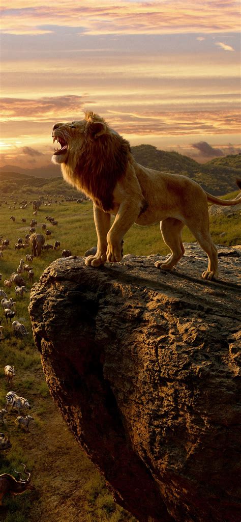 the lion king movie 10k iPhone 12 Wallpapers Free Download