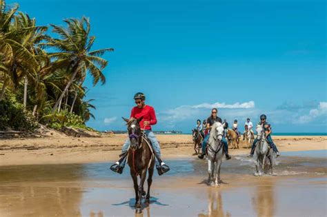 Carabalí Rainforest Park: Beach Horseback Riding | GetYourGuide