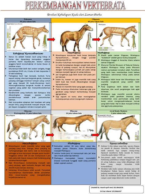 Evolusi Poster Kuda | PDF