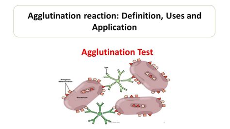 Agglutination | Microbiology Notes