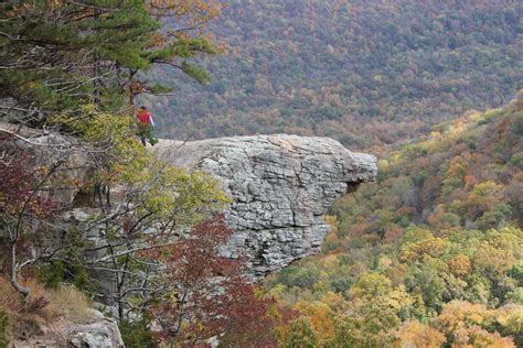 Hawksbill Crag, Arkansas | Natural landmarks, Nature, Landmarks