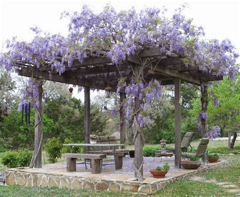 Life & Home at 2102: Making our Wisteria-filled pergola a reality