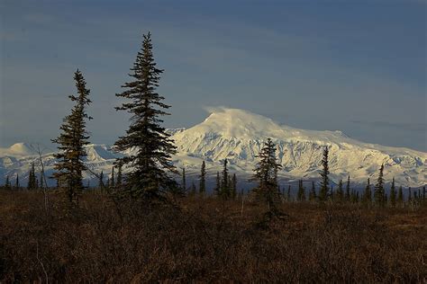 The Largest Wilderness Areas In The United States - WorldAtlas