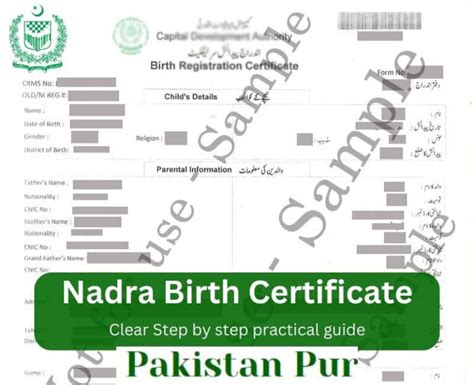 How To Easily Get Your Nadra Birth Certificate Online In Pakistan