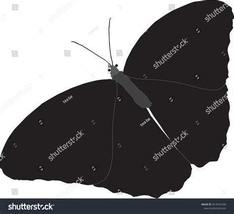 Blue Butterfly Silhouette Drawing Vector Stock Vector (Royalty Free) 2018765396 | Shutterstock