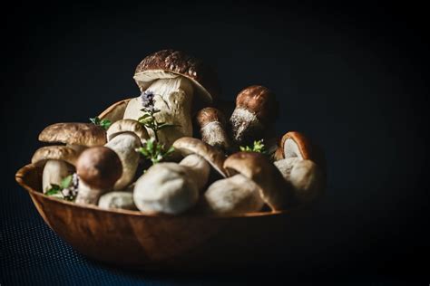 Porcini Mushroom Recipes – 5 Great Ways to Cook Them - Mushroom Site