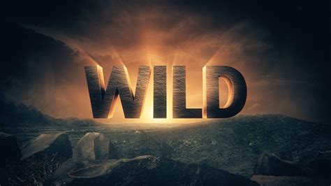 NAT GEO WILD Big Cat Week // Promo Package on Behance