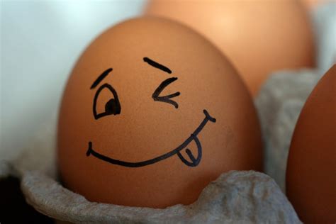 smiley egg 1 Free Photo Download | FreeImages