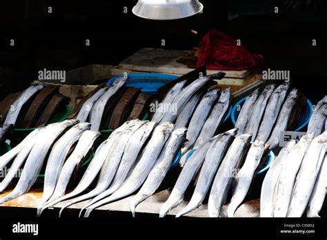 Jagalchi Fish Market, Busan, South Korea Stock Photo - Alamy