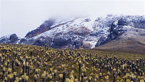 Cordillera central en Colombia - Colombia