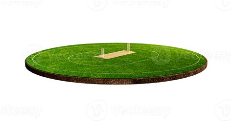 Cricket Stadium Front view on cricket pitch or ball sport game field, grass stadium or circle ...