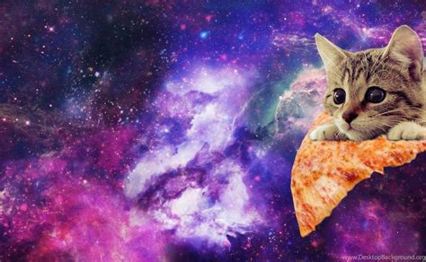 Space Pizza Cat Imgur Desktop Background