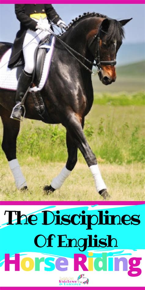 The Disciplines Of English Horse Riding | English riding, Horse riding ...