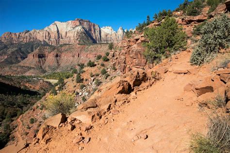 How to Hike the Watchman Trail in Zion National Park – Earth Trekkers