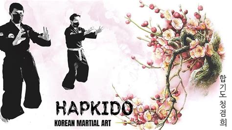 Online crop | HD wallpaper: hapkido, korean martial arts | Wallpaper Flare