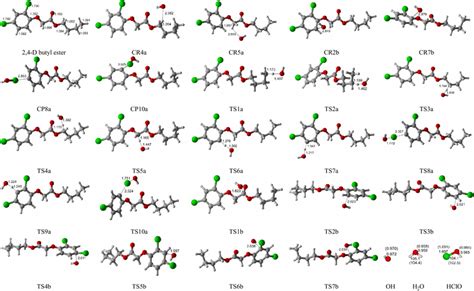 Optimized geometries of the reactants, complexes, transition states and... | Download Scientific ...