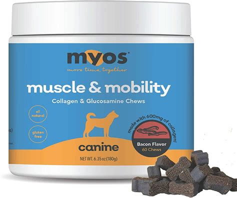 The 9 Best Muscle Growth Supplements for Dogs in 2024! - We Love Doodles