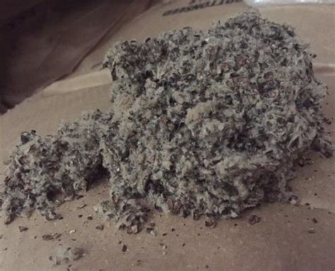 Cottonseed Hulls - Central Farm Supply