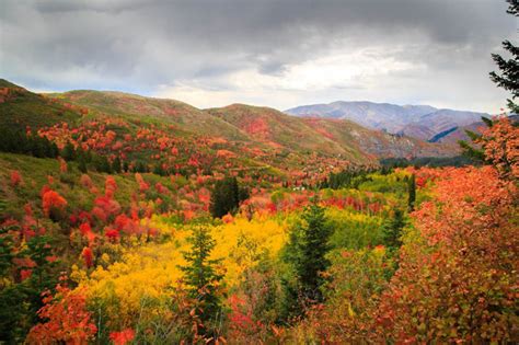 Here's This Year's Fall Foliage Prediction Map for Utah