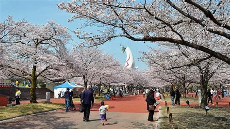 Expo '70 Commemorative Park - Osaka Travel