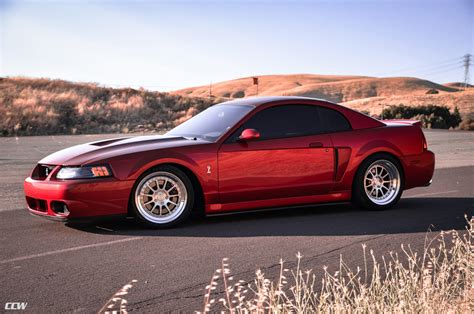 Red Ford Mustang 4th Gen 03 SVT Cobra Terminator - CCW D110 Wheels in ...