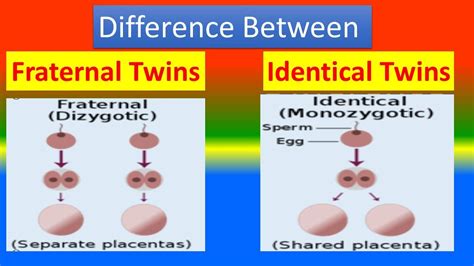 Fraternal twins Vs. Identical Twins - YouTube