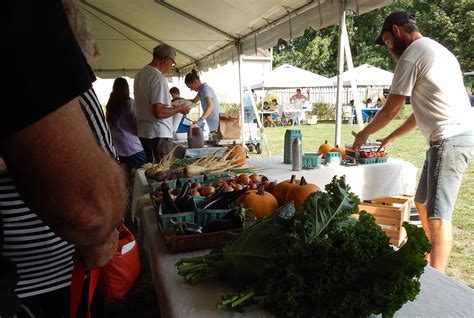 Little Italy Farmers Market Returns for Summer - Erie Reader