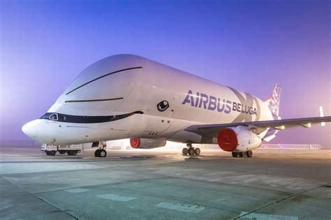 Take a look at the new Airbus Beluga XL as it flies to Britain - Somerset Live