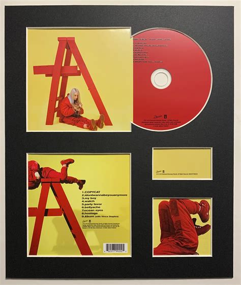 BILLIE EILISH Don't Smile at Me Album Display With - Etsy UK