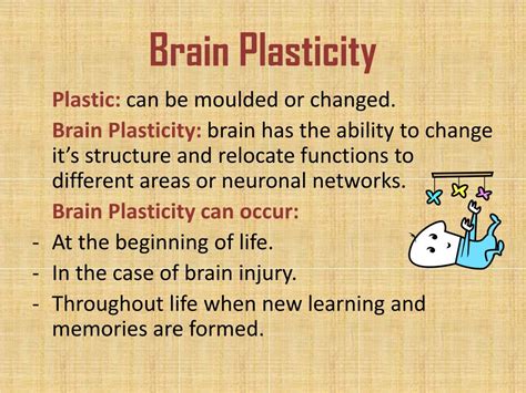 PPT - Brain Plasticity PowerPoint Presentation, free download - ID:2011086