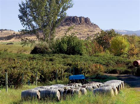 Wine Kegs Ashland Vineyards Bear Creek Appellation Southern Oregon photo