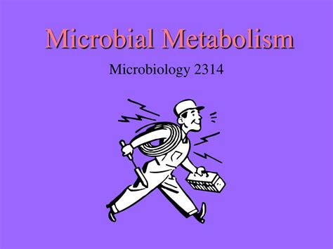 PPT - Microbial Metabolism PowerPoint Presentation, free download - ID:663303