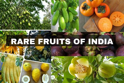 10 Unique and Rare Fruits in India