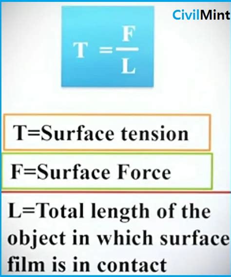 What is Surface Tension | Definition of Surface Tension, Examples and Test