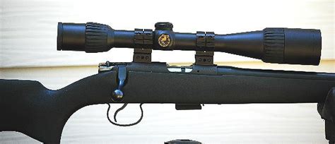 What Are The Best CZ 455 Scope Rings?