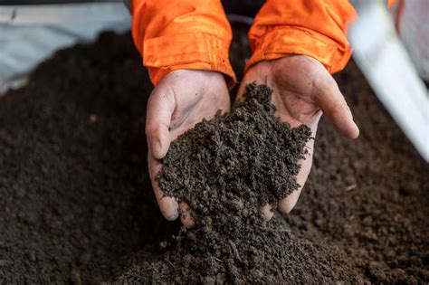 How to make compost at home. 8 tips from our composting experts ...