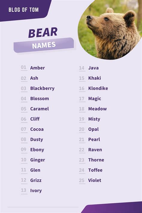 Bear Names (661 Best, Funny, Cute, & Famous Ideas) | Bear names, Polar bear names, Names for ...