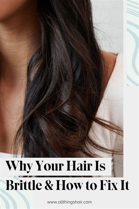 What Causes Brittle Hair and How You Can You Treat It Fast? | Brittle ...