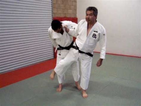 Judo throw Harai Goshi (bend knees high arms) | Judo throws, Judo, Martial arts styles