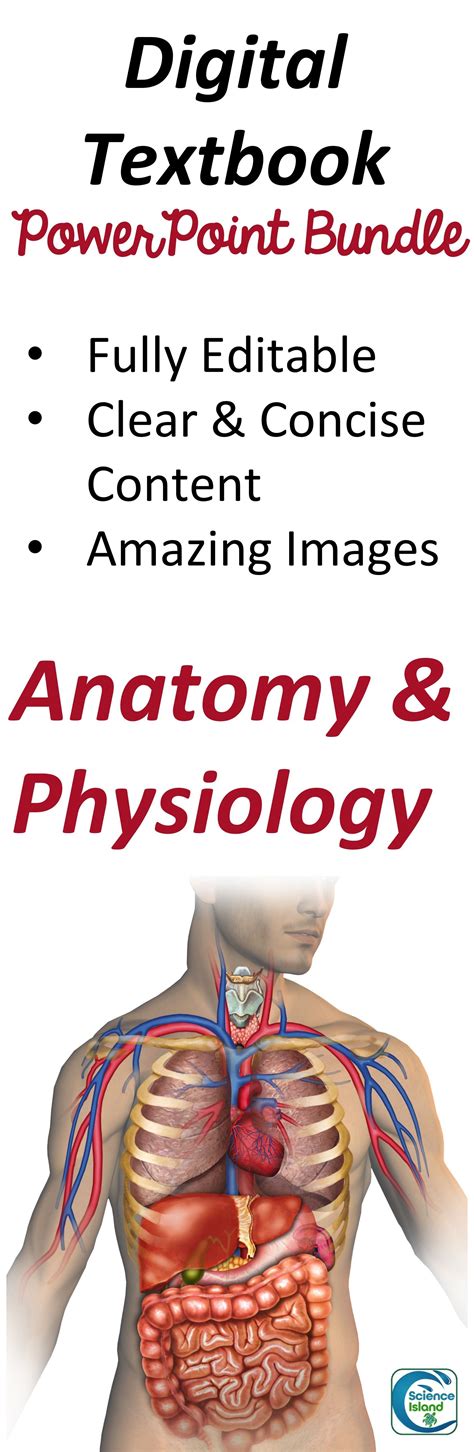 Anatomy and Physiology PowerPoint Bundle Digital Textbook | Anatomy and physiology, Digital ...