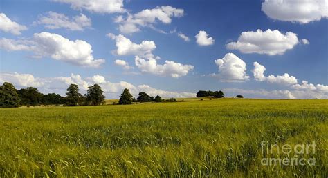 Green Belt Land 2 Photograph by John Chatterley | Fine Art America