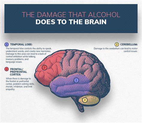 Infographics show the damage substance abuse can do to the brain - Info ...