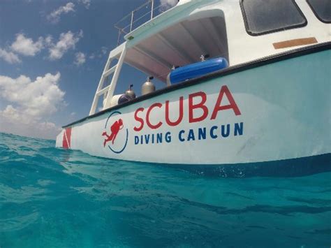 Scuba Diving Cancun - All You Need to Know BEFORE You Go