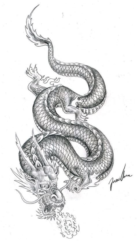 Pin by Macas Corrbui on Macas | Dragon tattoo designs, Dragon tattoo, Chinese dragon tattoos