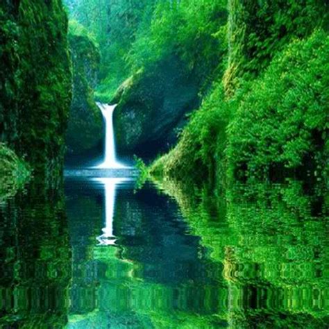 Waterfall in Green Forest Live Wallpaper - App on the Amazon Appstore