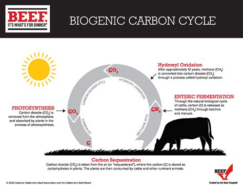 Greenhouse Gases