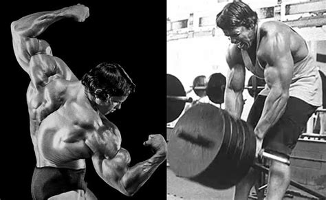 Arnold Schwarzenegger Back Muscle