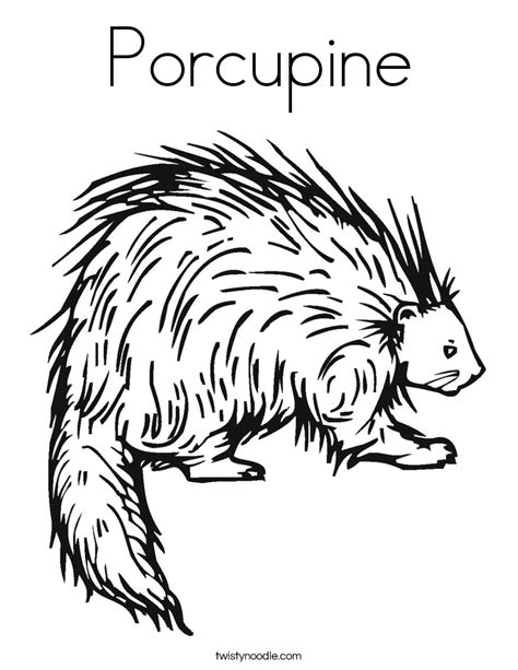 Porcupine Coloring Page - Twisty Noodle