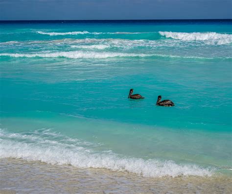 Cancun Mexico Beach · Free photo on Pixabay