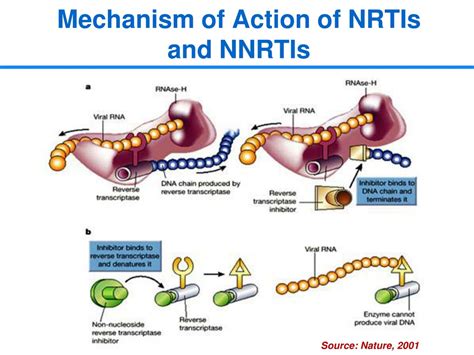 PPT - Introduction to ARV Therapy PowerPoint Presentation, free ...